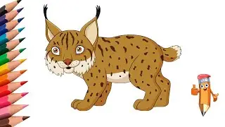 How to draw a beautiful lynx for kids