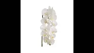 Premium Real Touch Silk Phalaenopsis Orchid Stems (Set of 6)