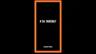 “Screenlife фильм «А ты знаешь?»