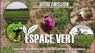 🌿 Espace Vert N''6: De la Terre à la Récolte, Rencontre avec une Femme de Terre en Casamance.