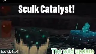 Deep dark Part 1 | The wild update | Sculk catalyst | 1.19 | Hindi | #Wildupdate #Minecraft #Shorts