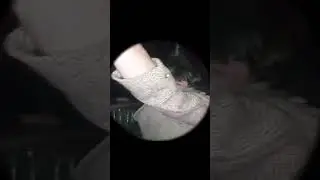 Адольф Гитлер - ПЕДРО ПЕДРО ПЕДРО (AI Cover)  #memes #ии #pedro  #нейросеть #chatgpt #edit  #funny