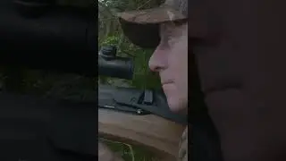 3 AMAZING Air Rifle Shots!