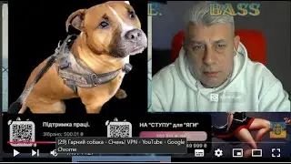 Гарний собака - Січень!  VPN