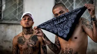 ‪@Almanegraoficial‬