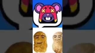 Видос взял с тг чата🐱 #fyp #fypシ゚ #bs #brawl #stars #актив #бравлстарс