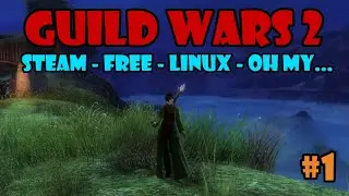 #1 - Guild Wars 2 - Steam - Free - Linux - Oh My...