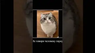 комару и ну мам... 
