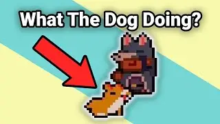 Chill Gungeon & Memes