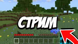 Играю в Майнкрафт и общаюсь