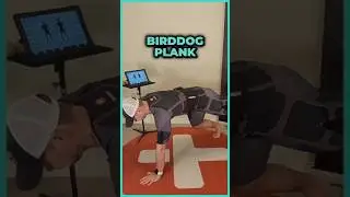 EMS Fitness | Birddog Plank