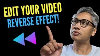 How to reverse a video | Kapwing Online Video Editor
