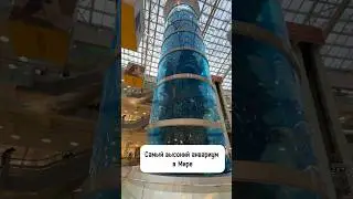 The tallest in the world 🌍 🤟 (cylindrical aquarium in Moscow).