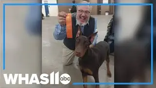 Police say finding missing Doberman puppies may be key to solving Colorado dog breeder's murder
