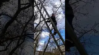 Залез очень высоко и опасно 
