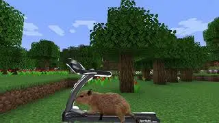 Ok I pull up capybara