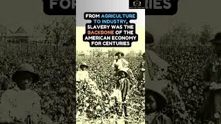 How slavery built America #slavery #history #cutthecheck
