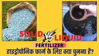हमें हाइड्रोपोनिक फार्म के लिए SOLID या LIQUID उर्वरक चुनना चाहिए?