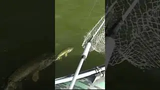 Кто ты там такой ! 
