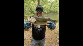 Big Bass Compilation 2023