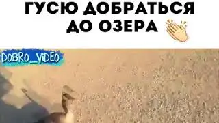 Мужик красавец ! ПОМОГ