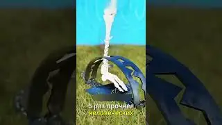 Bear Trap: Can It Break Bear Bones? 🐻🔨