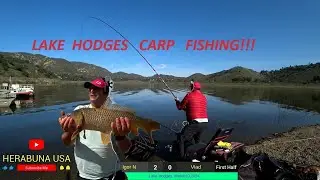 LAKE HODGES CARP FISHING MARCH 2024( HERABUNA STYLE)