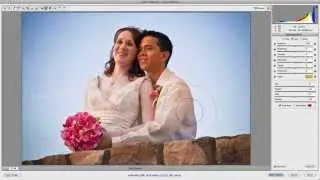 Camera Raw: Clarity, Vibrance & Saturation Sliders
