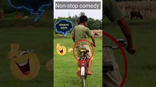 amazing funny short video 