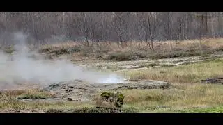 Haukadalur thermal area - Smidur Geysir