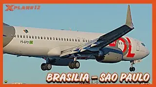 X-PLANE 12 LIVE | Boeing 737 MAX 8 | Brasilia (BSB) - Sao Paulo Congonhas (CGH) | VATSIM