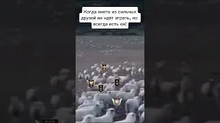 Тот самый друг, который всегда готов играть (Standoff 2)
