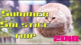 Sweepwings - Summer Solstice video