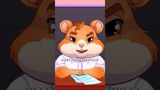 Limit and market orders HAMSTER ACADEMY