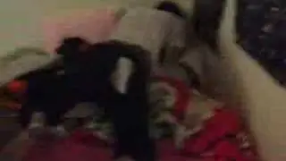 You're ok, you're ok, you're ok