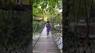Шаг за шагом к миллиону