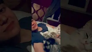 Леонид:–Эмма, ты опять уходишь, скажи честно, у тебя там что другая кошечка? Эмма М: