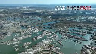 Phosfate: Clip 1 - Information on Mosaic