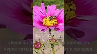 Предупреждение от Энштейна...