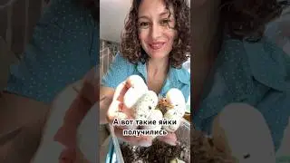 Аж руки трясутся😅 #змея #животные