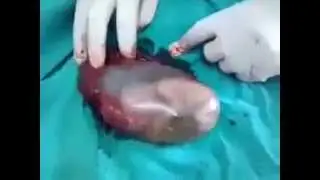 oh my good look what human do