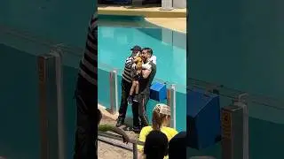 Puro amor 💙 Tom mime SeaWorld #seaworldmime #funny #seaworld #comedy #fun #funnyvideo #shorts