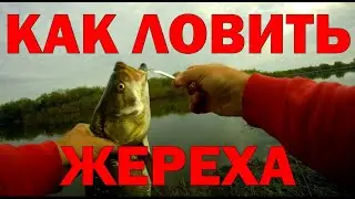 ЖЕРЕХ / КАК ЖЕ ЛОВИТЬ ЖЕРЕХА? 
