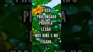 MÃO DE DEUS #plantas #mudas #erickaionnyplantas #como #riodejaneiro