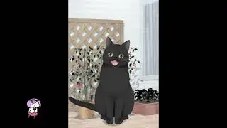 Meow...