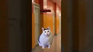 когда батя построил школу😎