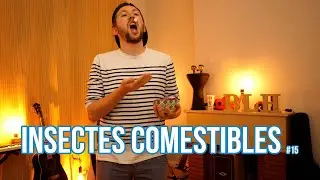 INSECTES COMESTIBLES