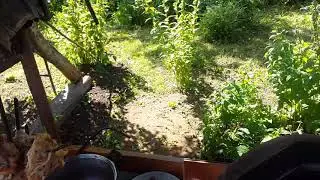 Курица с картофелем в тандыре))