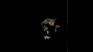 Evolution in 30 seconds