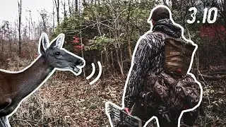 CRAZY DOE BLEATS!! - Bowhunting the Michigan RUT!!